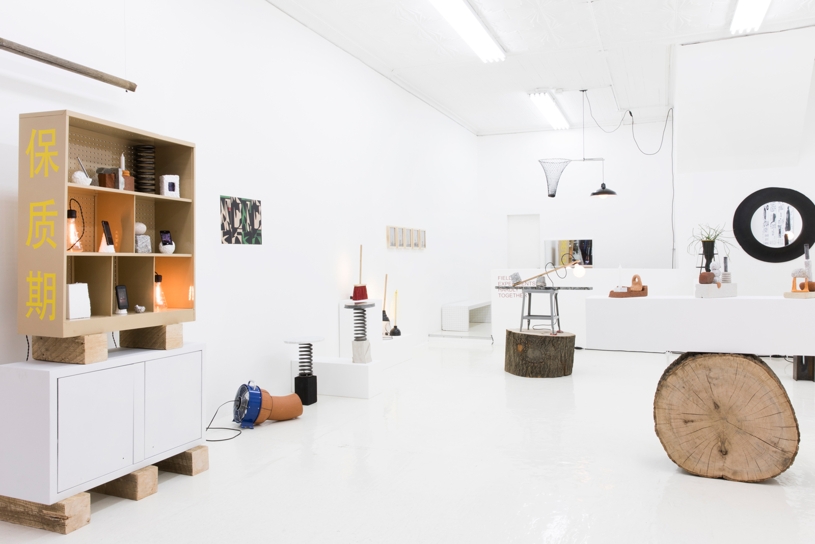 INSTALLATION VIEW: HARDLY TOGETHER, 2017